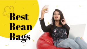 Read more about the article 32 Best Bean Bags & Fillers in India 2023
