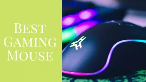 Read more about the article 15 Best Gaming Mouse in India (with Price) 2024