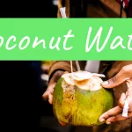 15 Best Coconut Water in India 2024