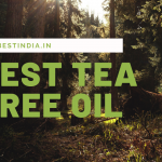 20 Best Tea Tree Oil for Hair and Skin in India 2023
