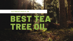 Read more about the article 20 Best Tea Tree Oil for Hair and Skin in India 2024